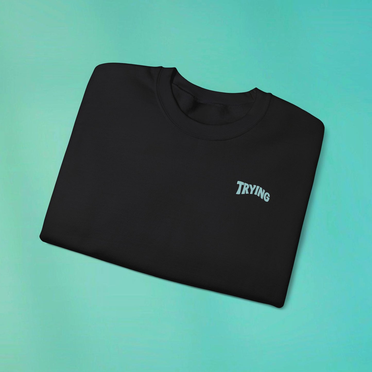 Trying My Best Black Sweatshirt