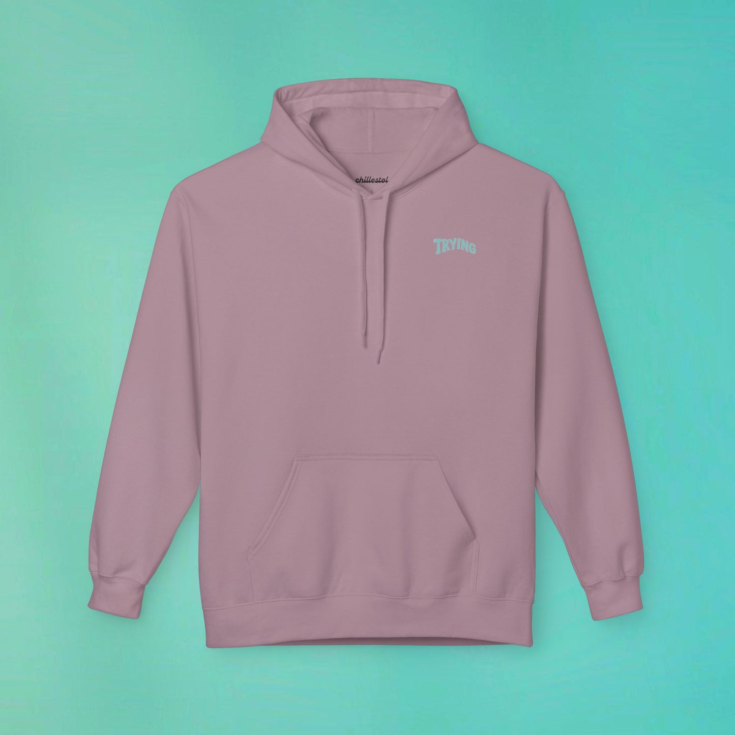 Trying My Best Paragon Hoodie